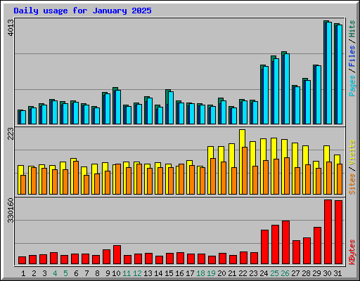 Daily usage for January 2025