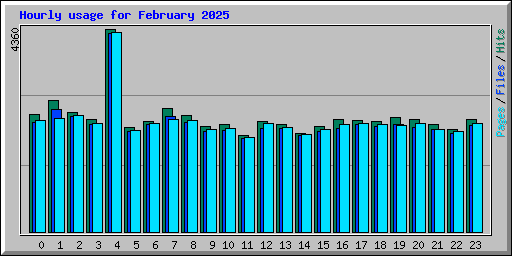 Hourly usage for February 2025