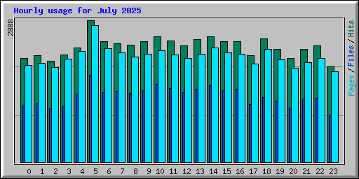 Hourly usage for July 2025