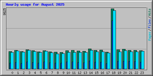 Hourly usage for August 2025