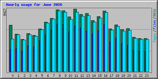 Hourly usage for June 2026