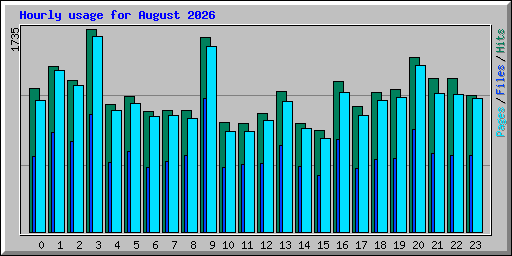 Hourly usage for August 2026