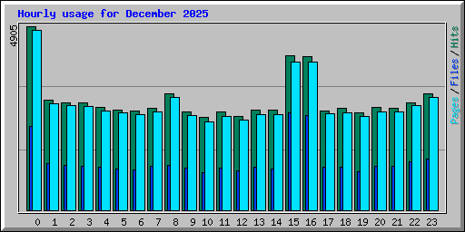 Hourly usage for December 2025